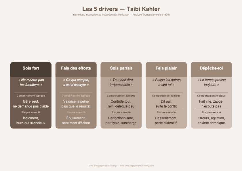 Schéma des drivers de Taibi Kahler burn-out secteur associatif ESS